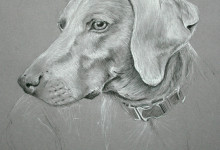 Dog Portrait 2