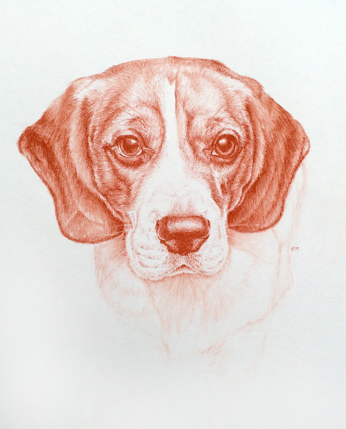 dog portrait 5